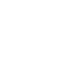 Reporting Icon