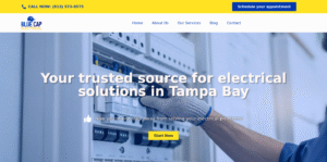 Screenshot 2025-07-31 at 17-57-08 BLUE CAP Electrical – Best Electrician in Town